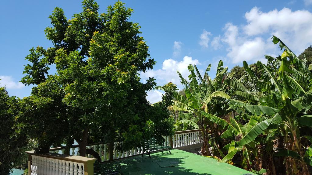 Hibiscus House Seychelles Self Catering Lejlighed Victoria Eksteriør billede