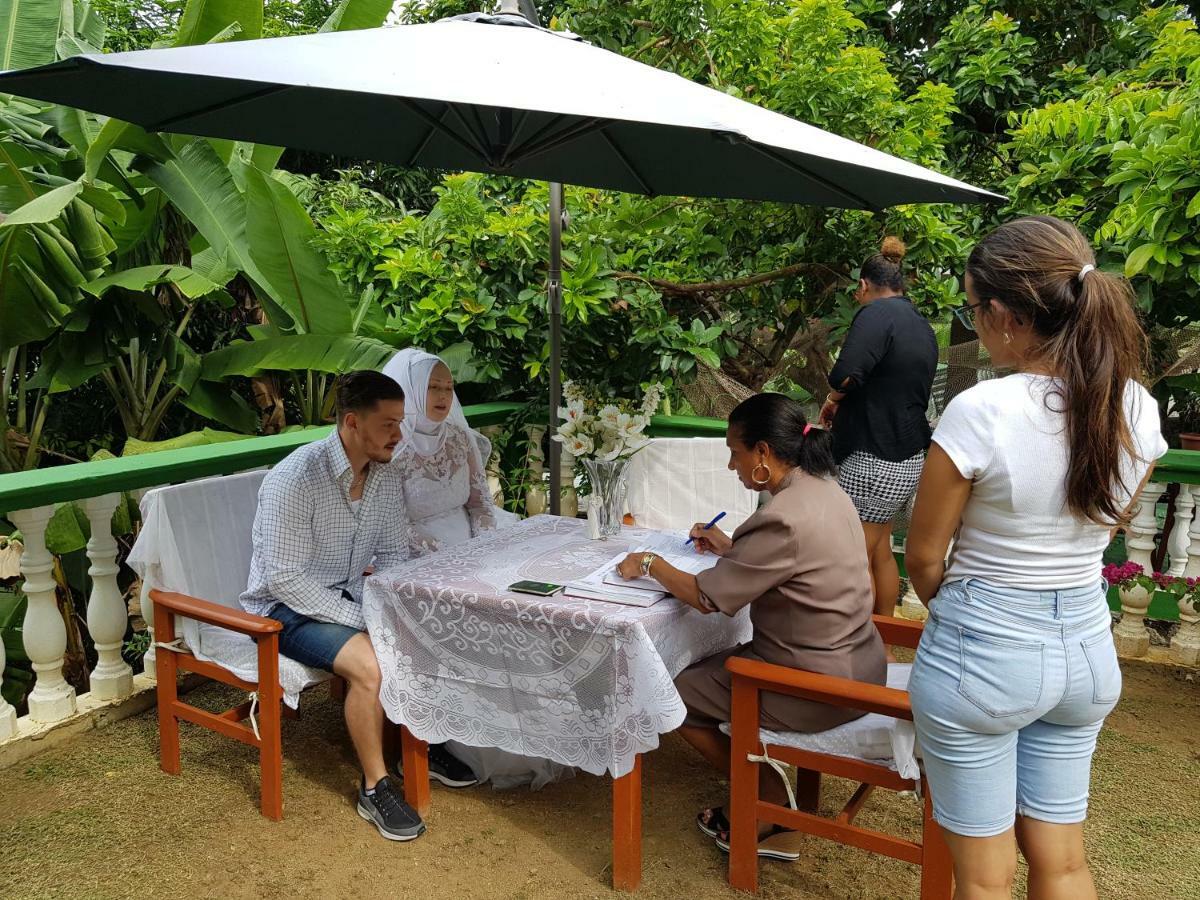 Hibiscus House Seychelles Self Catering Lejlighed Victoria Eksteriør billede